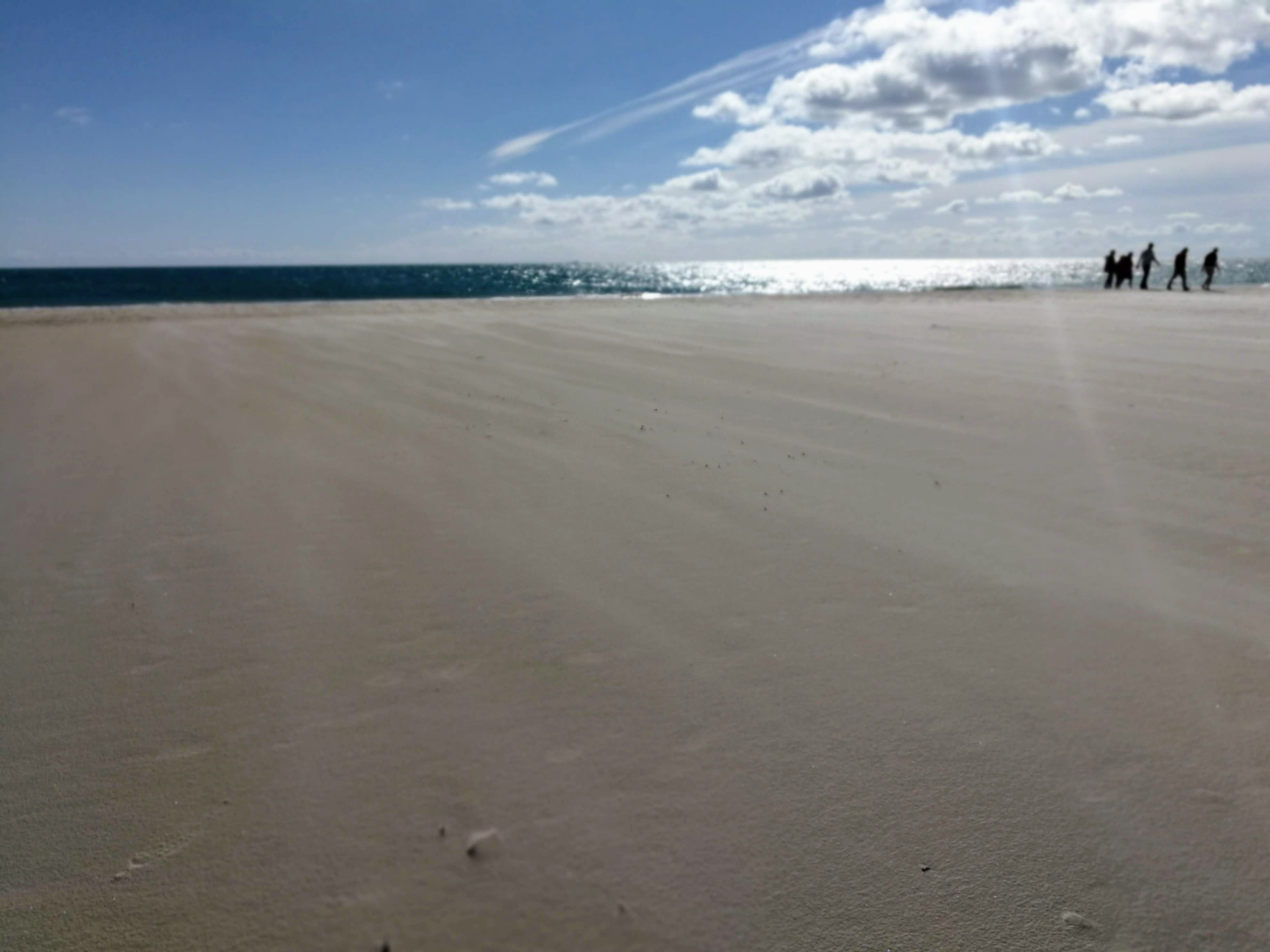 sand forever, Skagen